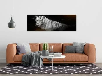 Obraz - Lśniący tygrys (1-częściowy) pomarańczowy wąski
