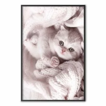 Plakat - Miłośnik wypoczynku - obrazek 2