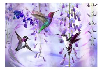 Fototapeta - Latające kolibry (fioletowy) - obrazek 2