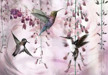 Fototapeta - Latające kolibry (różowy) - obrazek 6