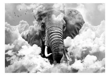 Fototapeta wodoodporna - Słoń w chmurach (czarno-biały) - obrazek 2