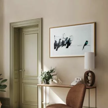 Plakat - Ksenofobiczne gołębie - obrazek 5