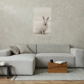 Plakat - Strachliwe spojrzenie - obrazek 5