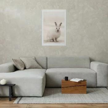 Plakat - Strachliwe spojrzenie - obrazek 5