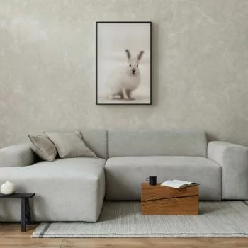 Plakat - Strachliwe spojrzenie - obrazek 5