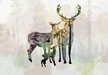 Fototapeta - Leśna rodzina - obrazek 6