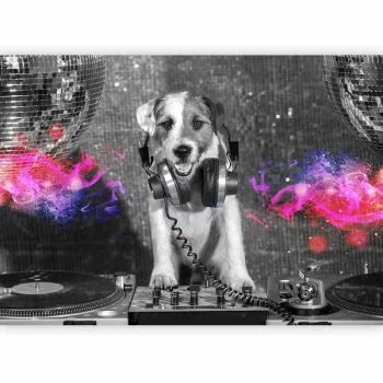 Fototapeta - Pies DJ - obrazek 5