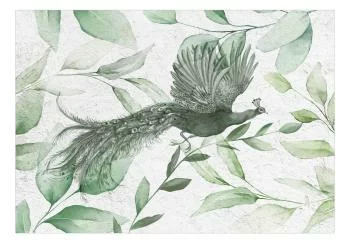 Fototapeta - Lot pawia - trzeci wariant - obrazek 2