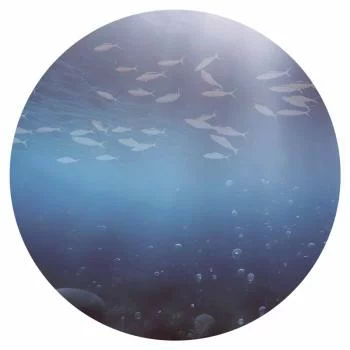 Fototapeta okrągła - Rybki w głębinach - obrazek 2
