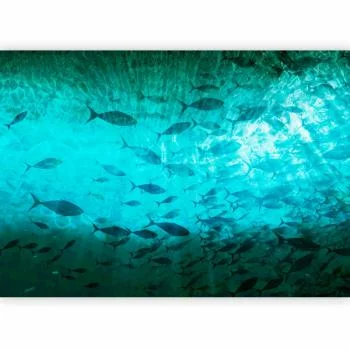 Fototapeta - Gromada ciemnych ryb - obrazek 2