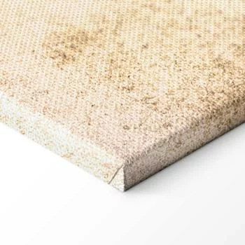 Obraz - Subtelne rybki - obrazek 8