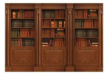 Fototapeta wodoodporna - Elegancka biblioteczka - obrazek 2