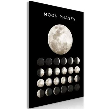 Obraz - Fazy księżyca (1-częściowy) pionowy - obrazek 2