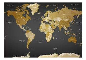 Fototapeta wodoodporna - Mapa świata: Nowoczesna geografia - obrazek 2