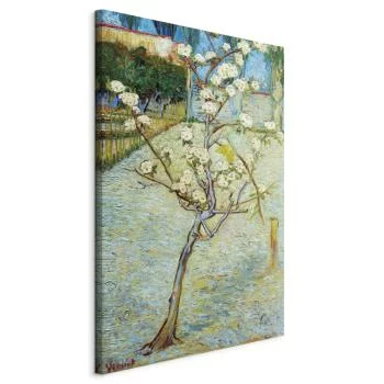 Obraz - Vincent van Gogh – Kwitnąca grusza