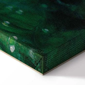 Obraz - John William Waterhouse – Zazdrosna Kirke - obrazek 8