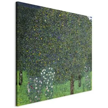 Obraz - Gustav Klimt – Róże wśród drzew