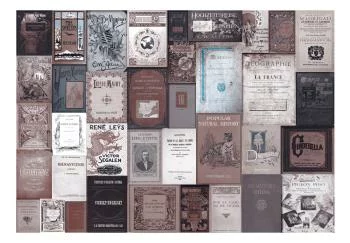 Fototapeta wodoodporna - Biblioteczka w stylu vintage - romantyczny motyw z okładkami książek - obrazek 2