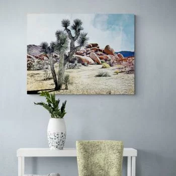 Obraz - kaktus na pustyni