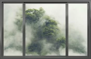 Fototapeta 3D - dżungla