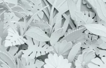 Fototapeta 3D - alabastrowe kwiaty