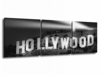 Obraz 3 częściowy - Hollywood