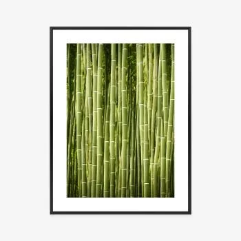 Plakat w ramie - płot z bambusa - obrazek 3