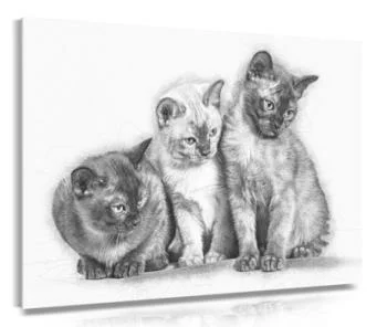 Obraz - trzy kotki - obrazek 2