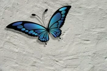 Fototapeta 3D - motyl na ścianie - obrazek 2