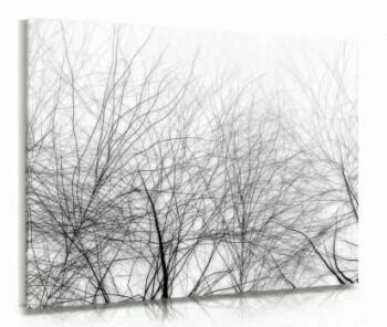 Gałęzie drzew - nowoczesny obraz na płótnie