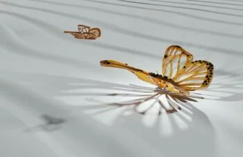 Fototapeta 3D cień złotego motyla