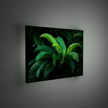 Obraz podświetlany LED - tropical