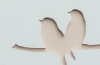 Fototapeta 3D - ptaszki na łące