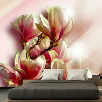 Fototapeta - piękna magnolia
