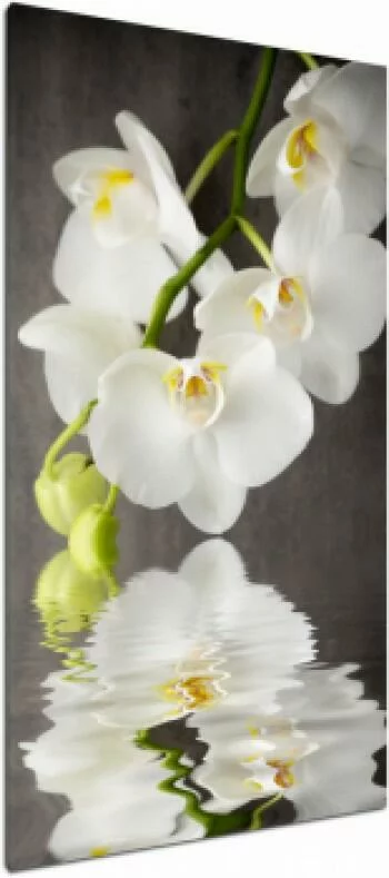 Obraz storczyk - orchidea na płótnie