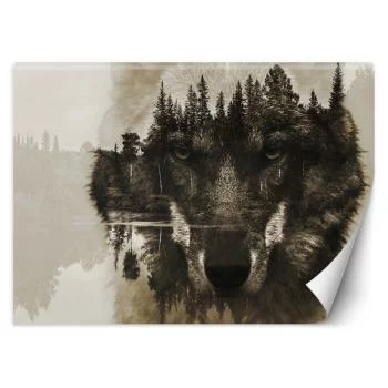 Fototapeta, Wilk na tle jeziora - obrazek 2