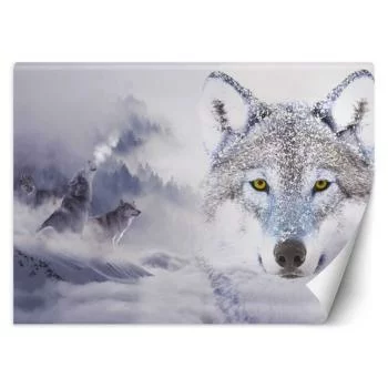 Fototapeta, Wilki w zimie - obrazek 2