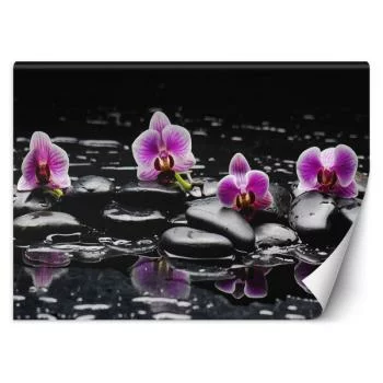 Fototapeta, Kamienie zen i orchidea - obrazek 2