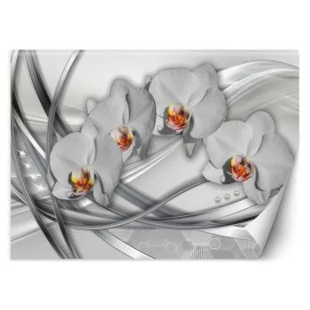 Fototapeta, Abstrakcyjne orchidee - obrazek 2
