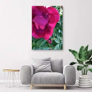 Obraz na płótnie, Duży różowy kwiat