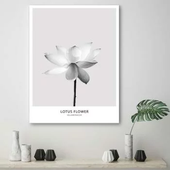 Obraz na płótnie, Biały kwiat lotosu