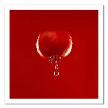 Obraz na płótnie, Pomidor i krople wody - kolor - obrazek 3