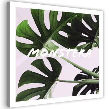 Obraz na płótnie, Egzotyczne liście - monstera - obrazek 2