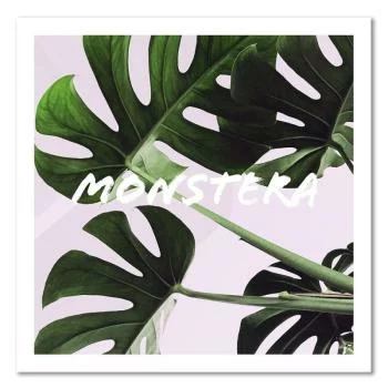 Obraz na płótnie, Egzotyczne liście - monstera - obrazek 3