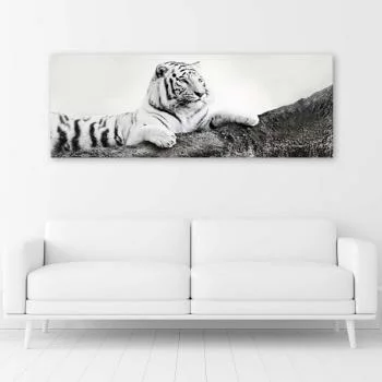 Obraz na płótnie, Czuwający tygrys