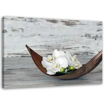 Obraz na płótnie, Białe kwiaty storczyka - obrazek 2