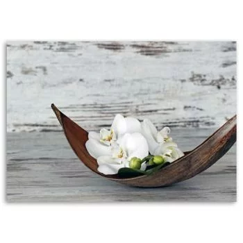 Obraz na płótnie, Białe kwiaty storczyka - obrazek 3