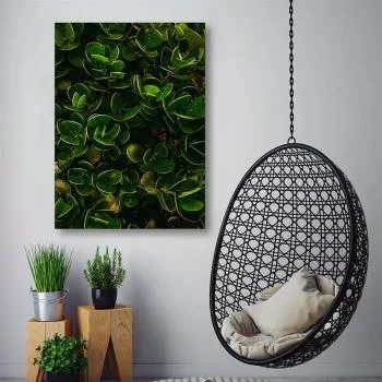 Obraz na płótnie, Zielone liście egzotycznych roślin