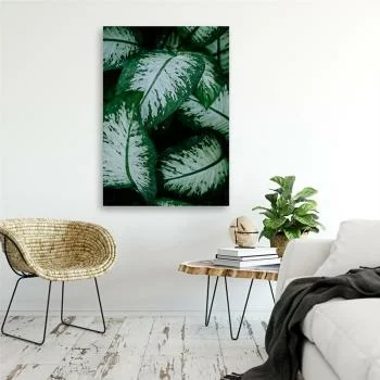 Obraz na płótnie, Tropikalne liście biało zielone