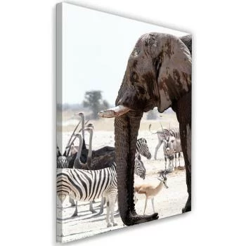 Obraz na płótnie, Zwierzęta na sawannie - słoń zebry strusie antylopy - obrazek 2